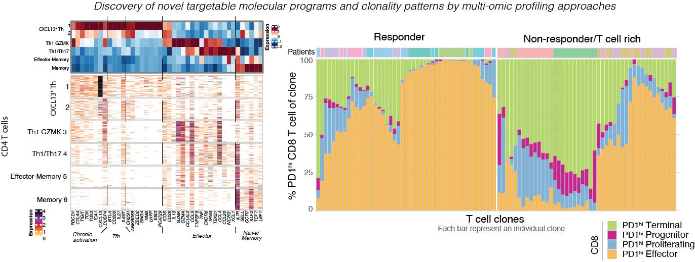 Discovery of novel targetable molecular programs and clonality patterns by multi-omic profiling approaches - Assaf Magen Consulting